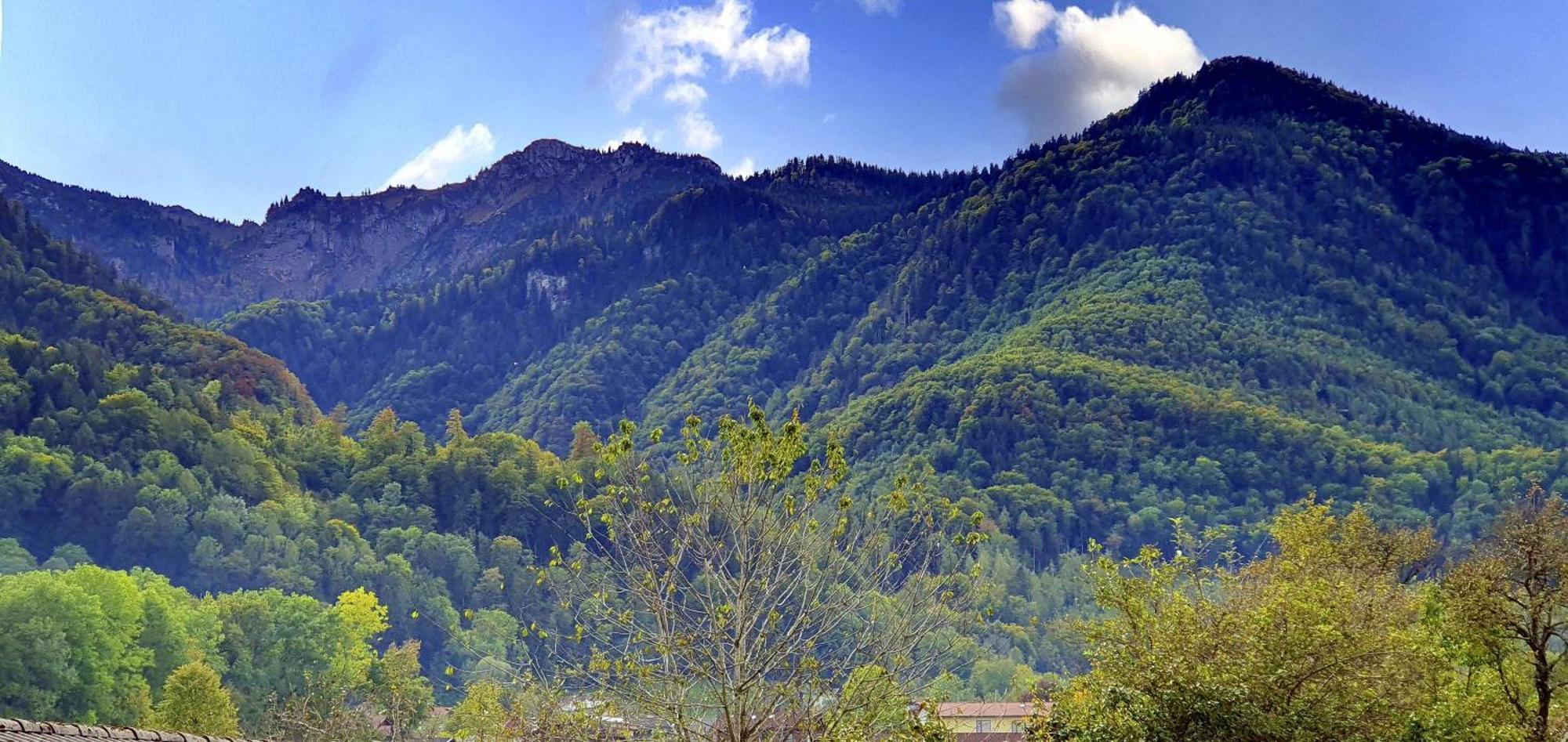 Ferienhof Oberhuber Staudach-Egerndach Bagian luar foto